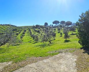 Country house for sale in Calle AGUSTIN LOPEZ, Villaviciosa de Córdoba