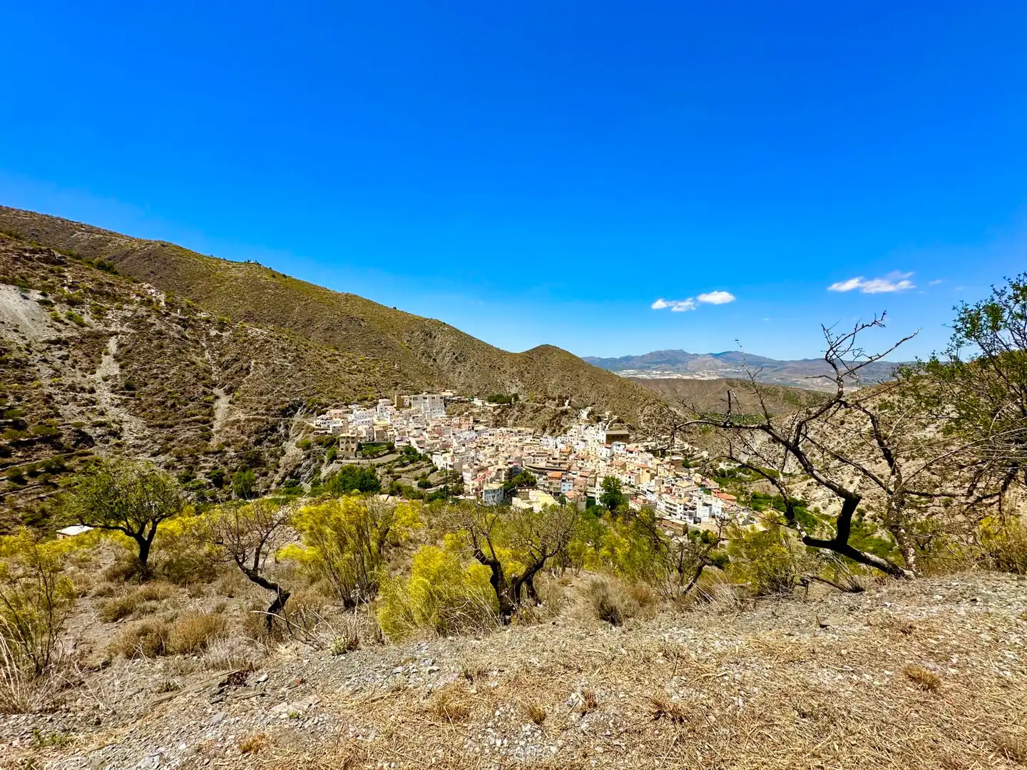 Vista exterior de Finca rústica en venda en Sierro amb Aire condicionat, Calefacció i Jardí privat