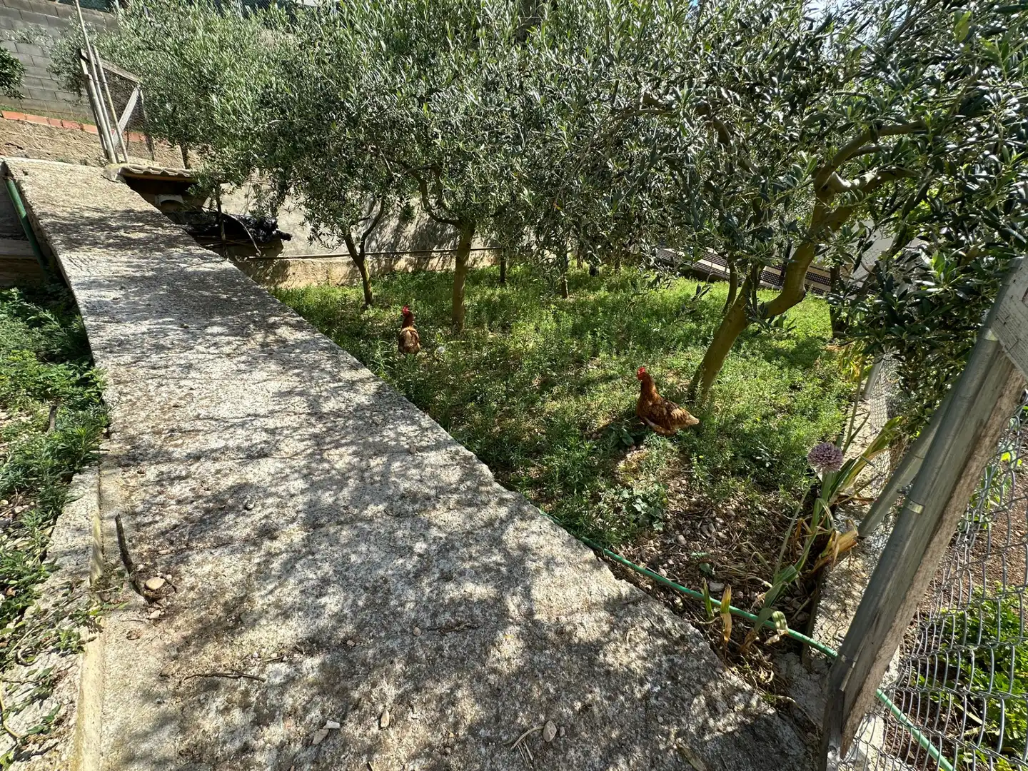 Casa o xalet en venda en Corbera de Llobregat amb Aire condicionat, Calefacció i Jardí privat