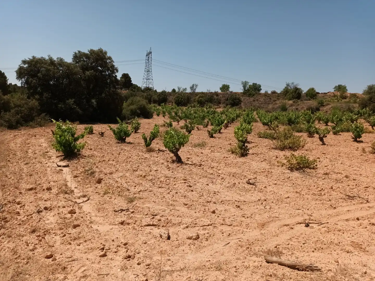 Residencial en venta en Pasaje Hoya Huesos, Venta del Moro
