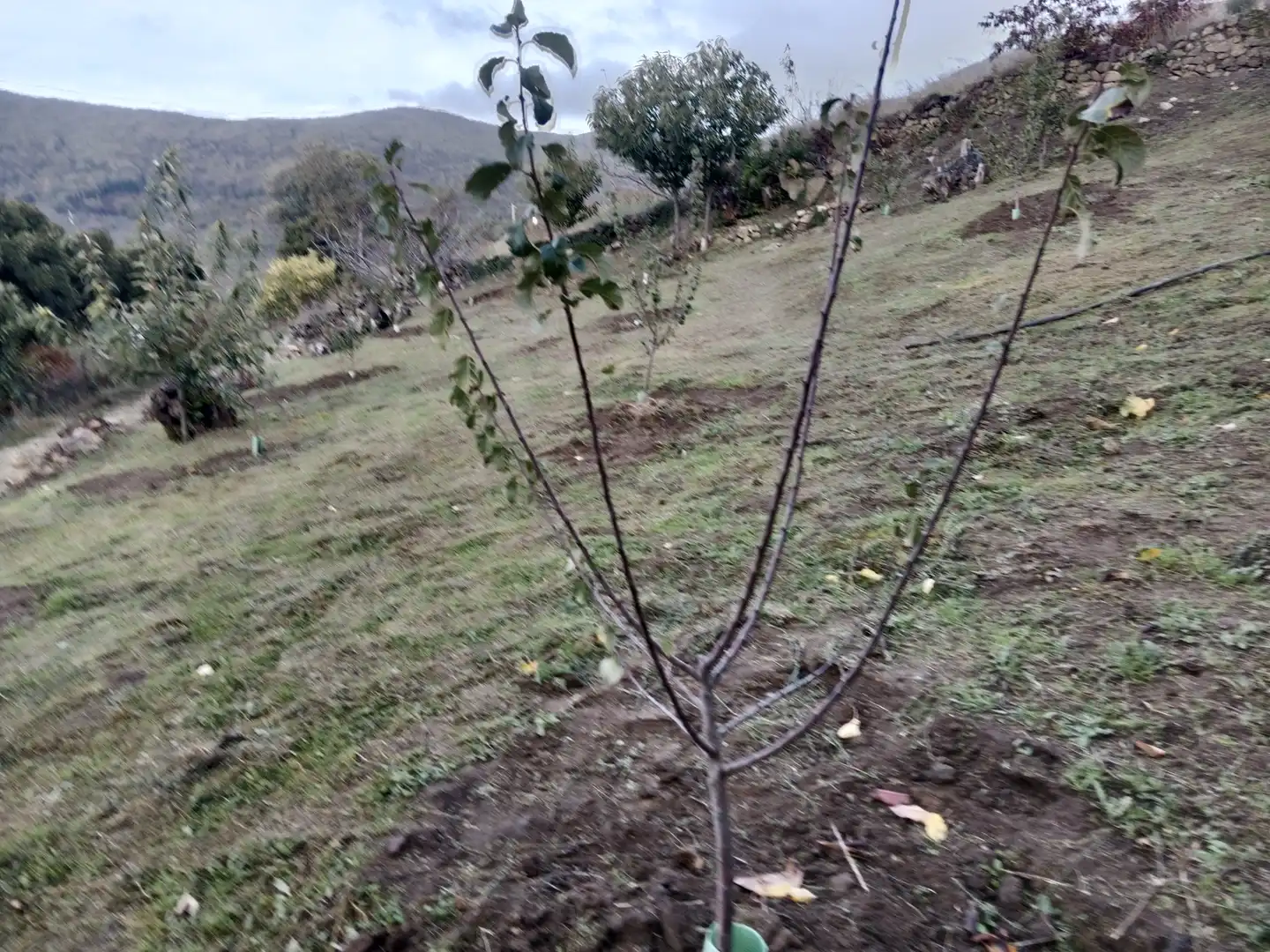 Terreni e lotti in vendita a Pasarón de la Vera, imagen 26