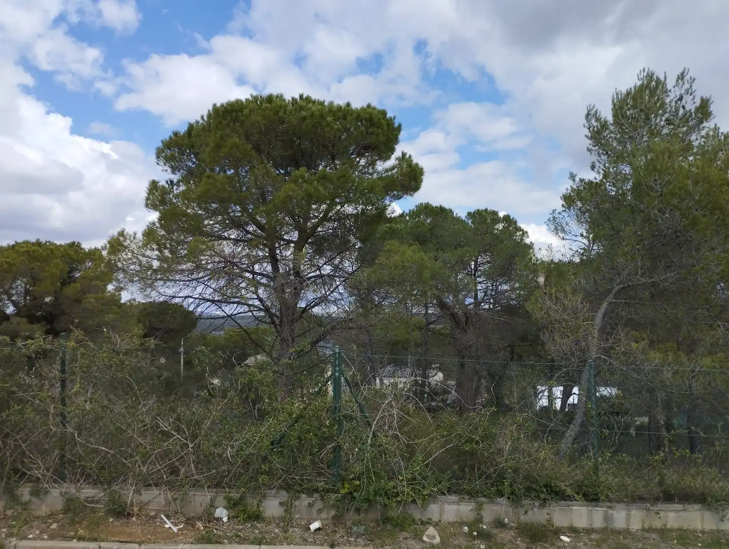 Terreny residencial en venda a Carrer Montserrat, imagen 2
