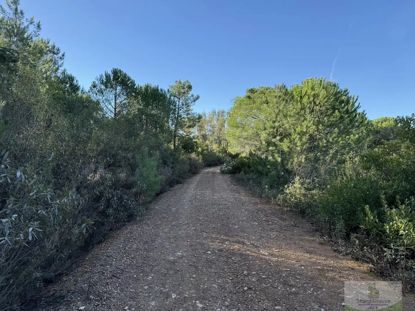 Finca rústica en venta en Berrocal