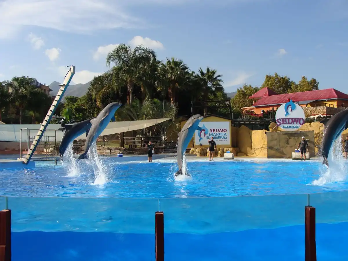Local comercial en venda a Parque de la Paloma, imagen 31