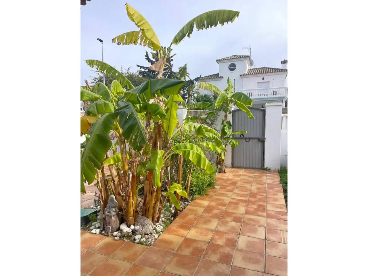 Jardí de Casa o xalet en venda en Chiclana de la Frontera amb Aire condicionat, Jardí privat i Piscina