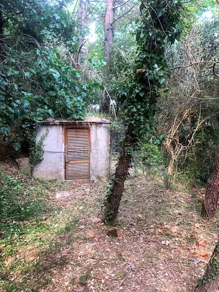 Finca rústica en venta en Arbúcies con Jardín privado, Terraza y Amueblado