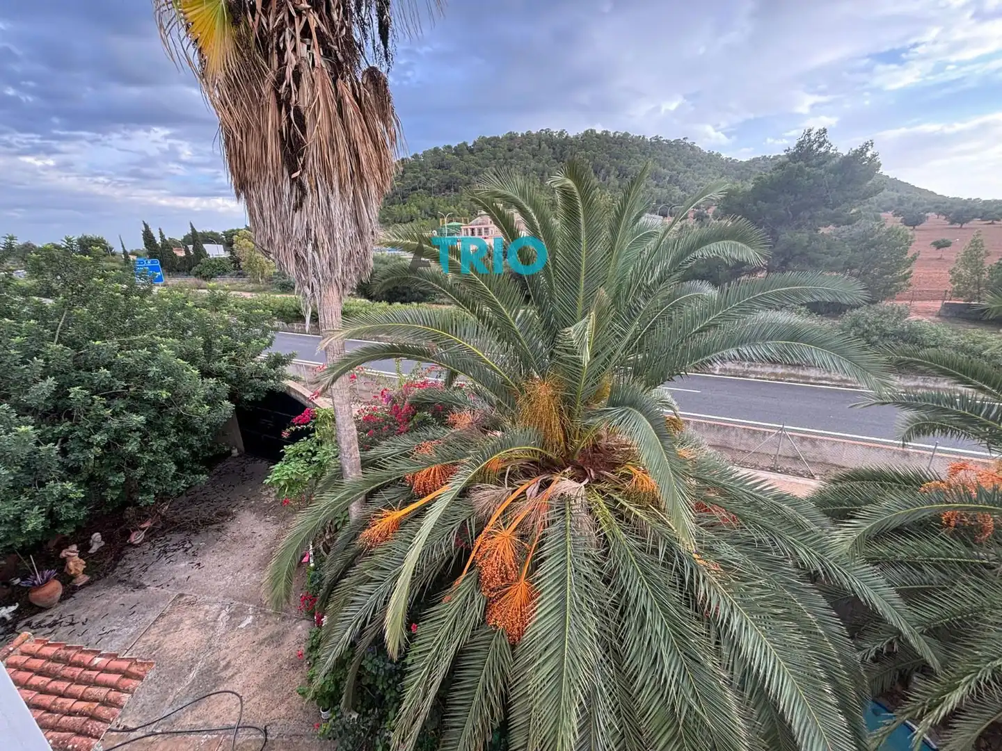Vista exterior de Casa o chalet en venta en Calvià con Aire acondicionado y Terraza