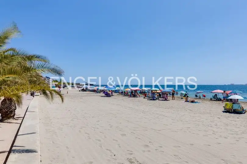 Vista exterior de Casa o chalet en venta en San Pedro del Pinatar con Aire acondicionado, Calefacción y Jardín privado