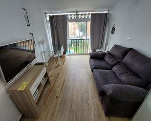 Study to rent in Calle Mirador, 5, Juzgados - Plaza de Toros