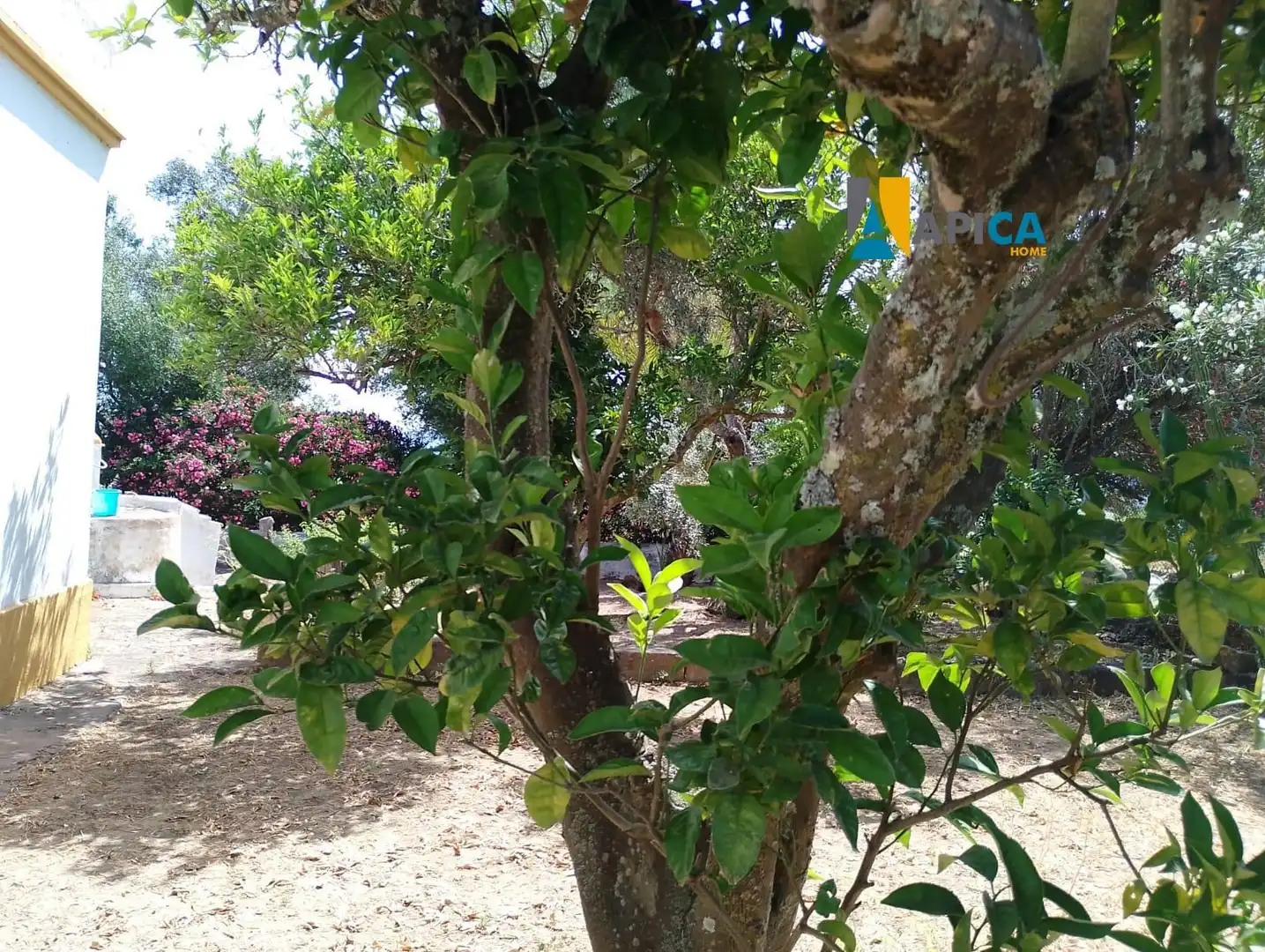 Xalet en venda a Vejer, imagen 9