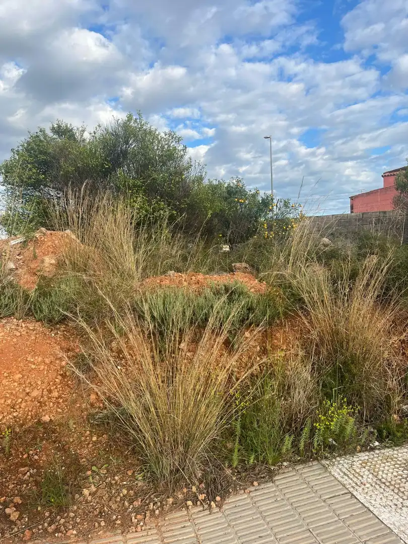 Residential land for sale in Betxí, imagen 10