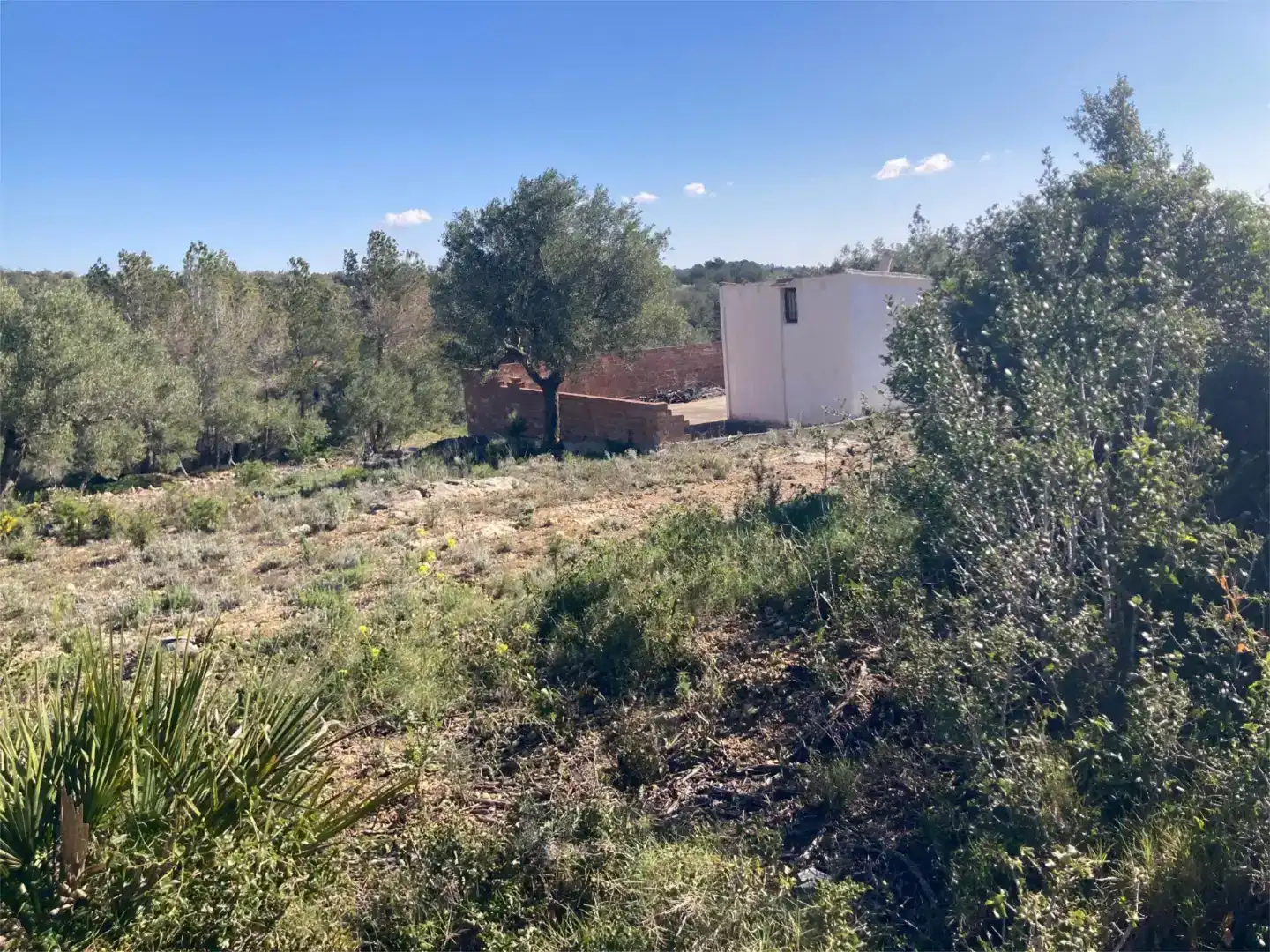Finca rústica en venda en L'Ampolla