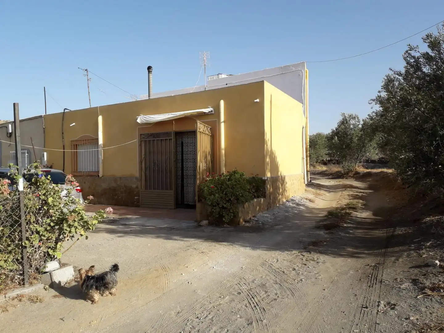 Finca rústica en venta en Tabernas