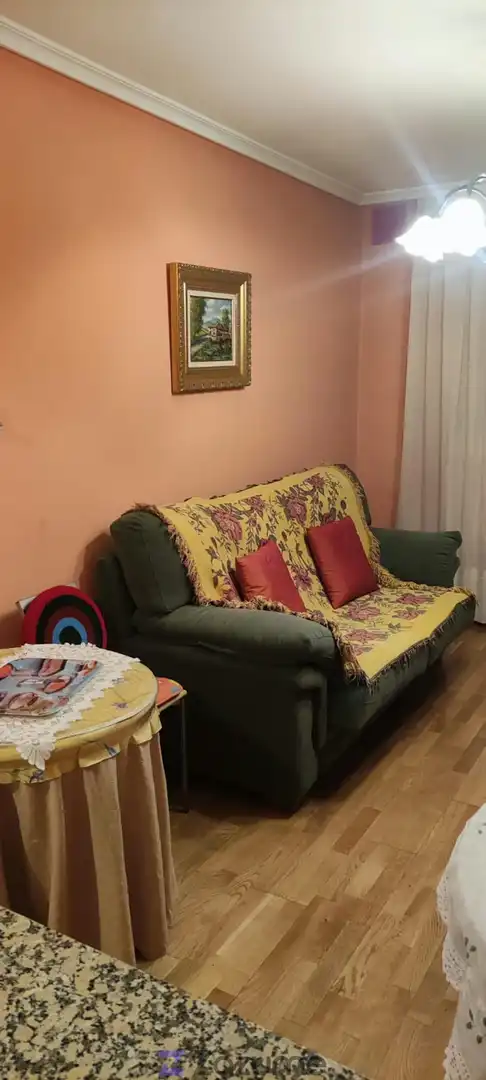 Living room of Apartments for rent in León Capital   with Parquet flooring, Storage room and Furnished