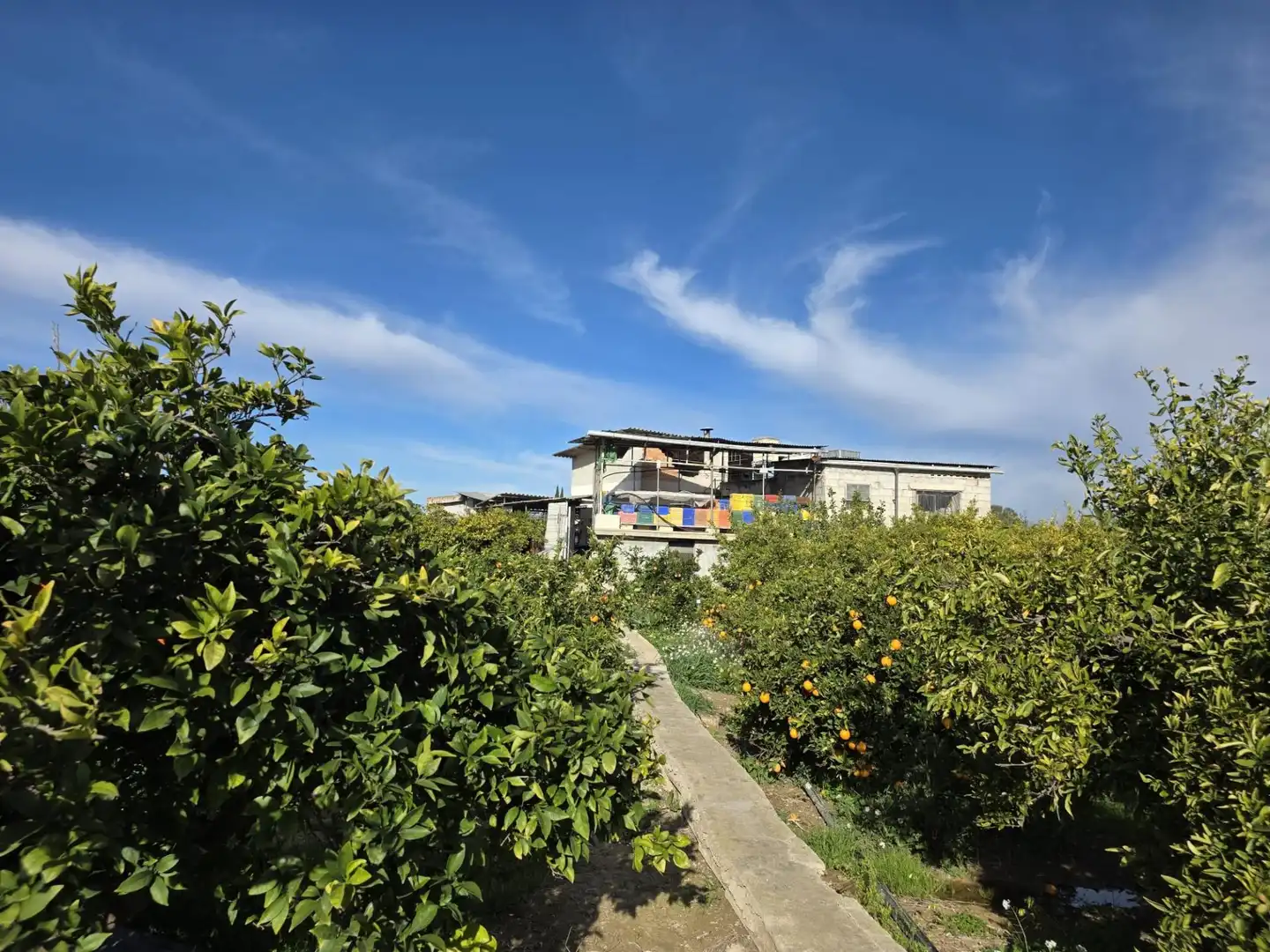 House for sale in Las Torres de Cotillas, imagen 3