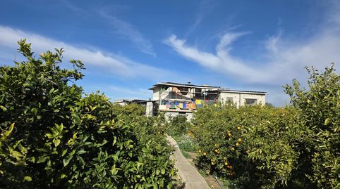 VENTA DE FINCA CON NARANJOS Y LIMONEROS, imatge 3