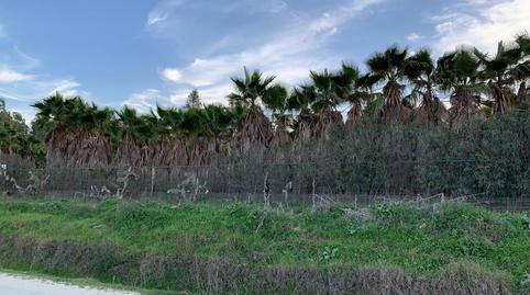 Photo 3 of Land for sale in N/a, -1, Norte - Blanca Paloma, Cádiz