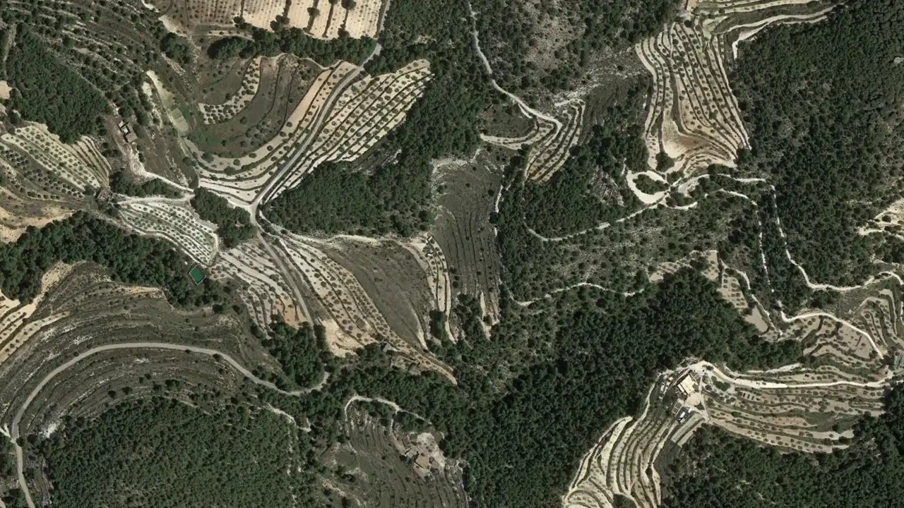 Rural land for sale in Ptda La Serratella/Carrascal, imagen 3