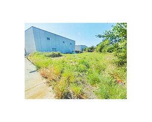 Industrial land for sale in Vilobí del Penedès