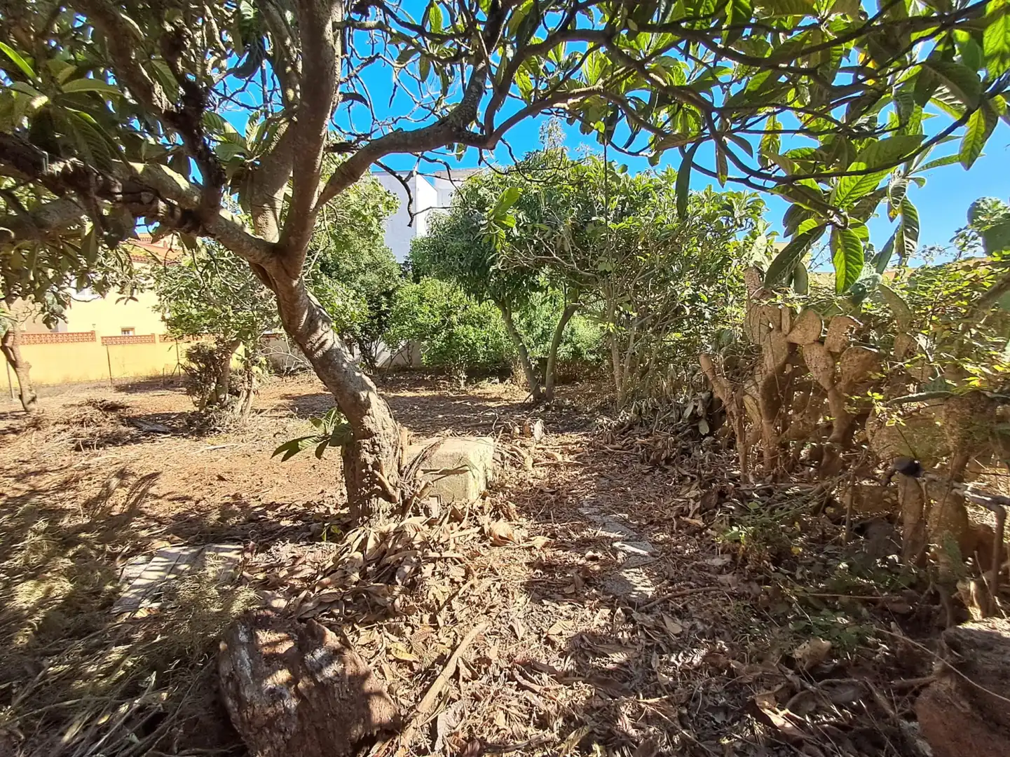 Casa o xalet en venda en San Cristóbal de la Laguna amb Jardí privat