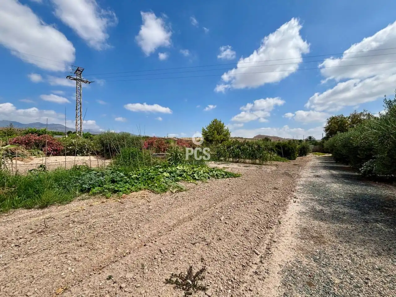 Detached house with pool for sale in Calle Totana Zona Huertos S/N, imagen 33