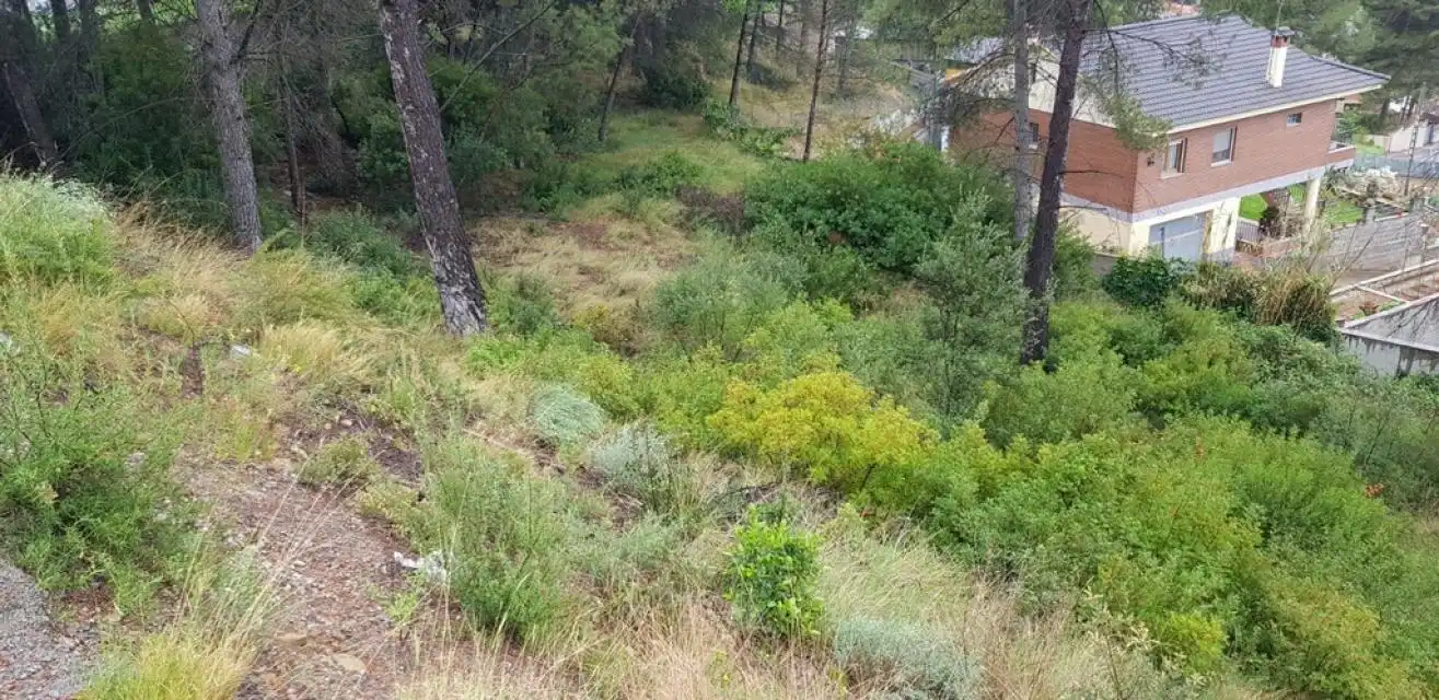 Residential land for sale in Penedès, imagen 9