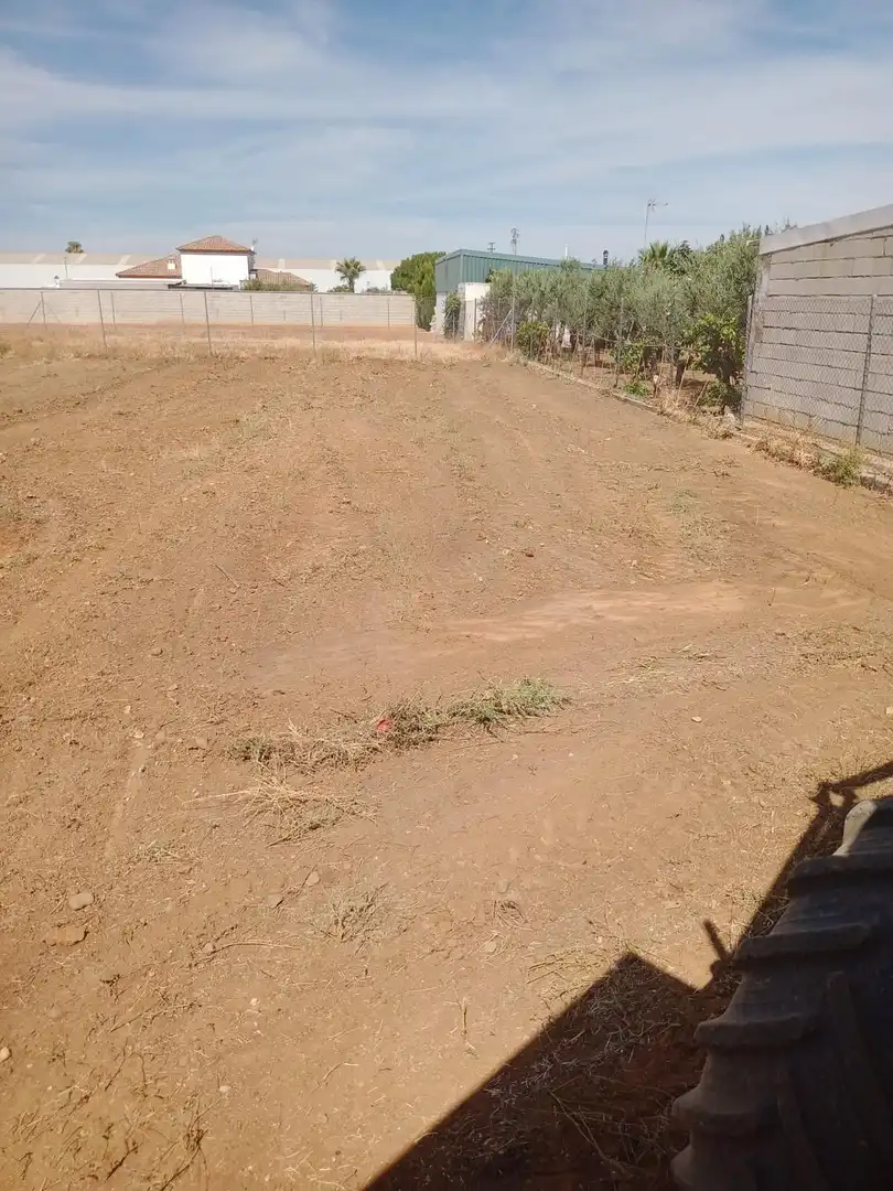 Residential land for sale in Calle MIGUEL HERNANDEZ