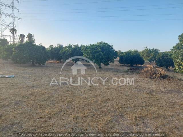 Terreno en Venta en Oromana