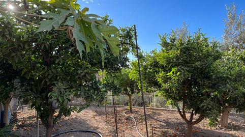 Foto 5 de Finca rústica en venda a La Mojonera, Almería