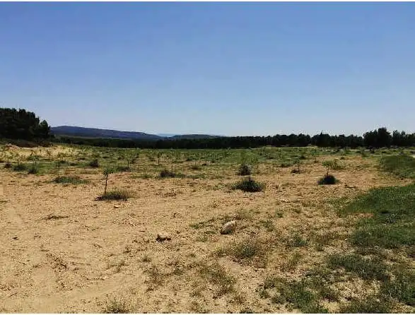 Rustikales Grundstück zum Verkauf in Almansa, imagen 5