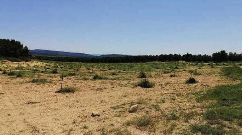 ESPECTACULAR FINCA DE USO RECREATIVO, AGRÍCOLA, GANADERO, immagine 5