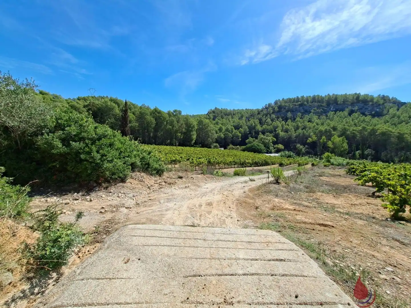 Terreni e lotti in vendita a Castellet i la Gornal, imagen 28