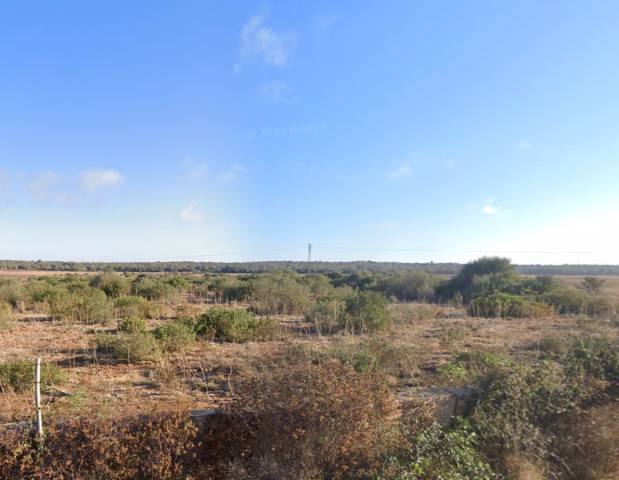 Terreno en Venta en Ses Salines de Fornells