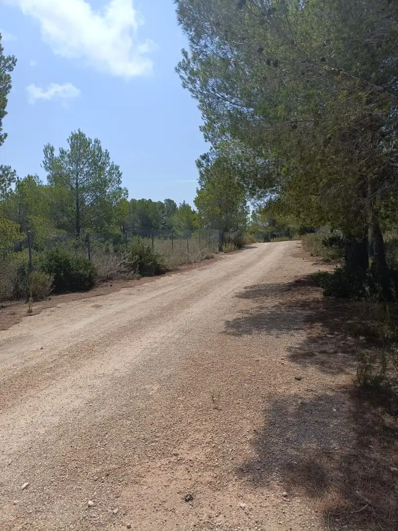 Terrenos y solares en venta en L'Ametlla de Mar pueblo, imagen 6