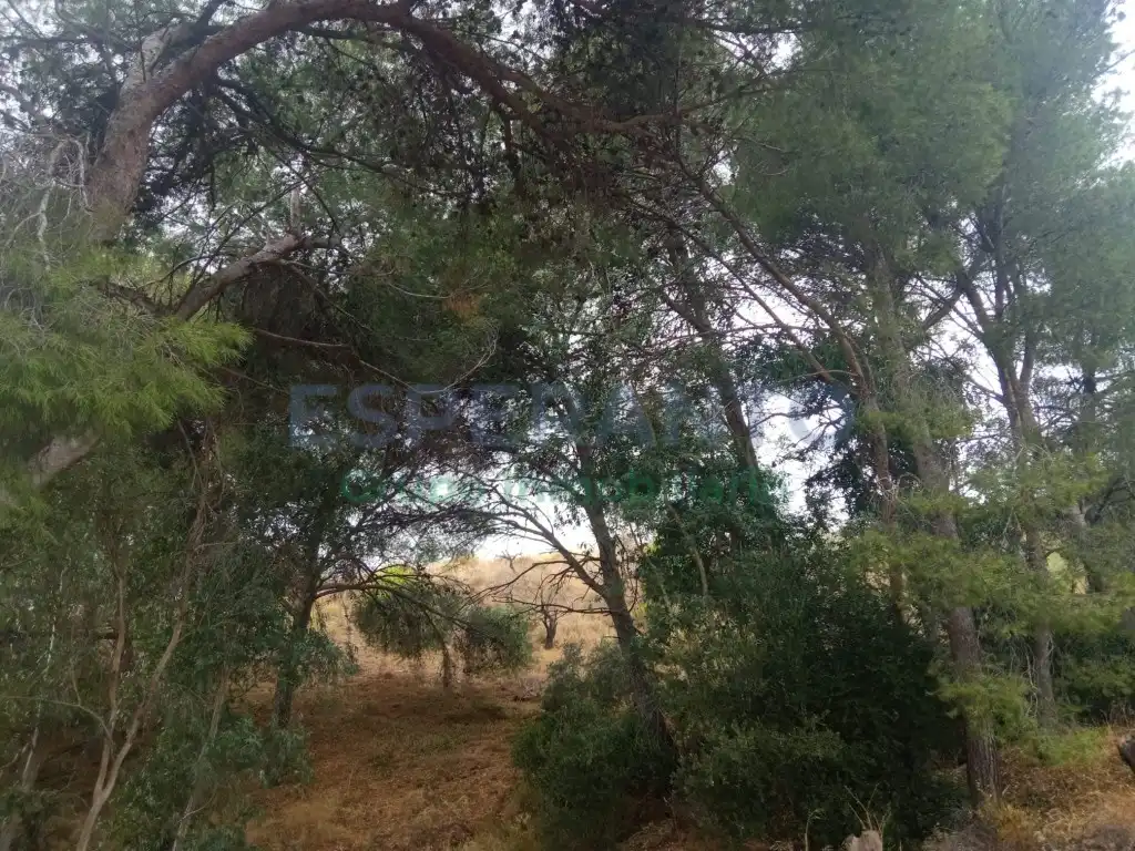 Casa rústica amb jardí en venda a Arroyo Jaboneros, imagen 48