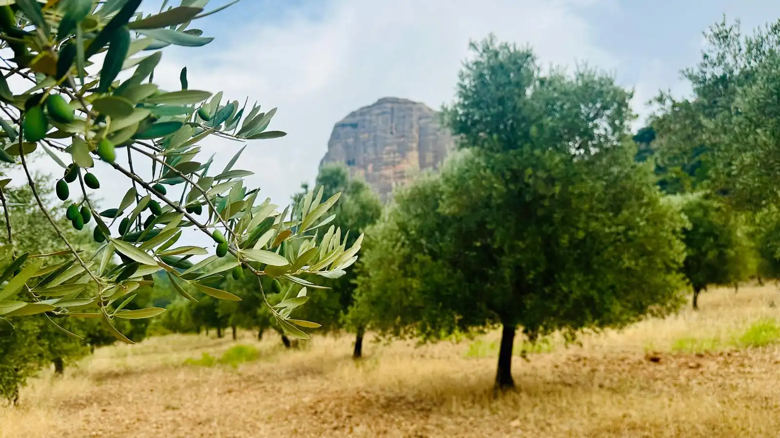 Rural land for sale in Horta de Sant Joan, imagen 12