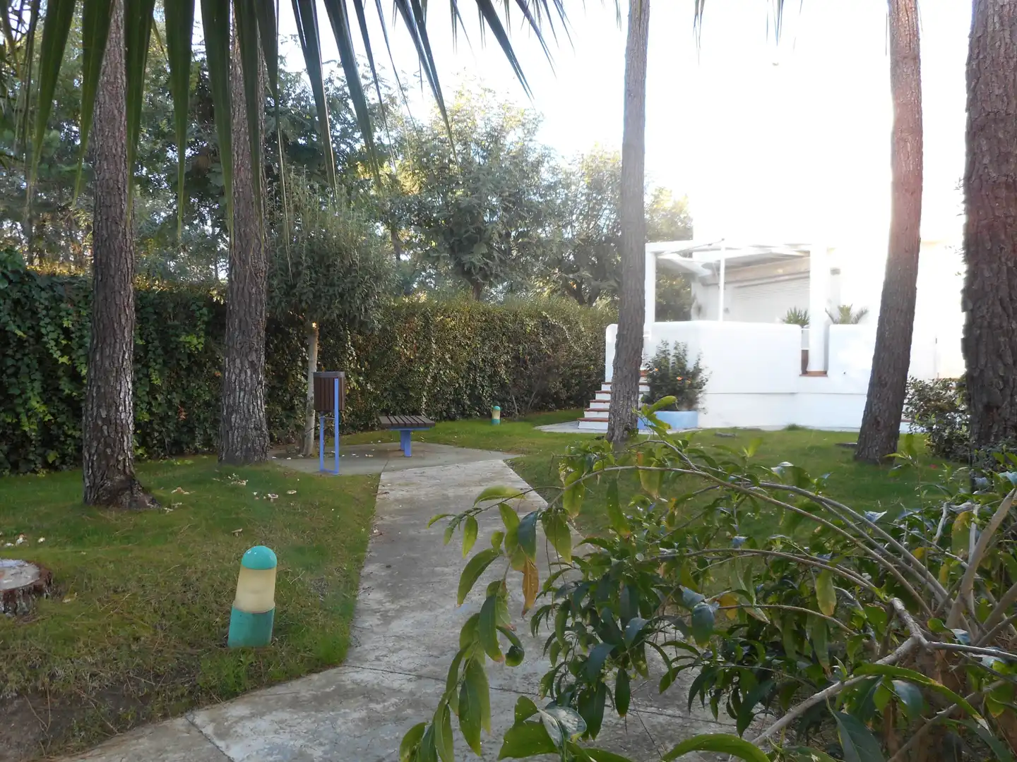 Jardí de Casa o xalet en venda en Islantilla amb Terrassa, Traster i Rentadora
