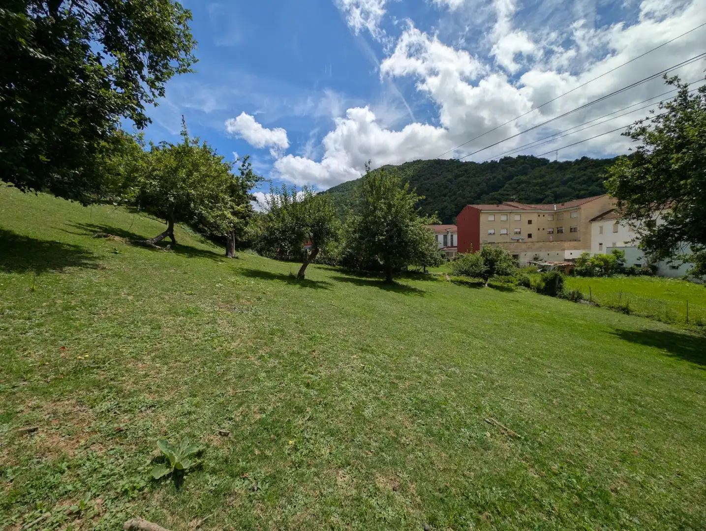 Villa con giardino in vendita a Carretera GENERAL, imagen 14