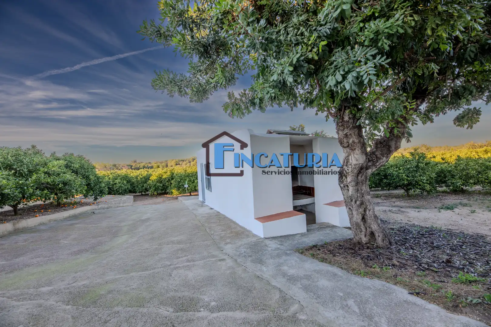 Vista exterior de Finca rústica en venta en Manises con Jardín privado y Terraza