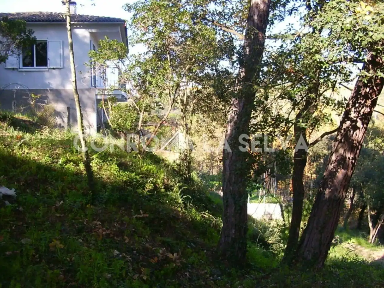 Residential land for sale in Residencial Park, imagen 18