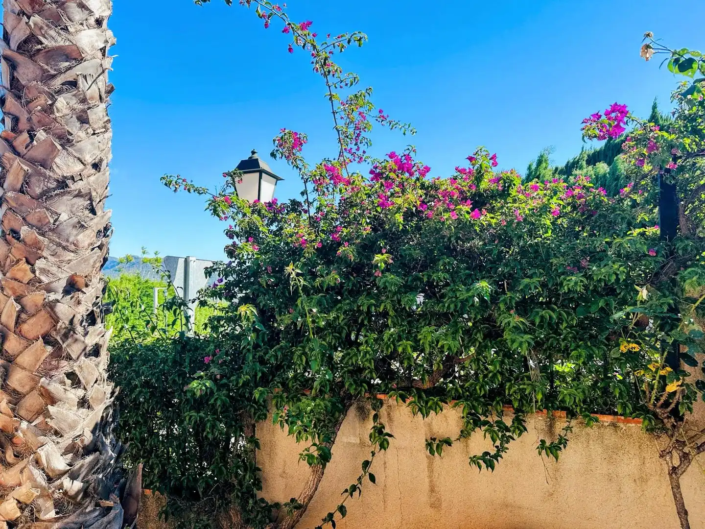 Vista exterior de Casa o chalet en venta en Ador con Aire acondicionado, Calefacción y Jardín privado