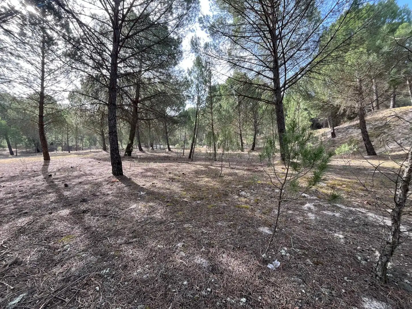 Terreno en venta en Tudela de Duero