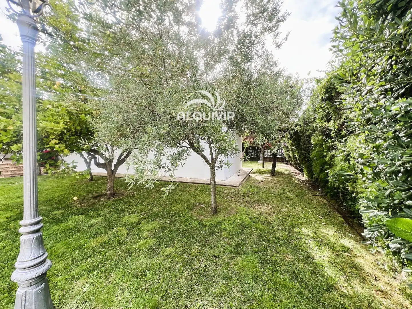 Jardín de Casa o chalet en venta en Almonte con Terraza, Trastero y Piscina
