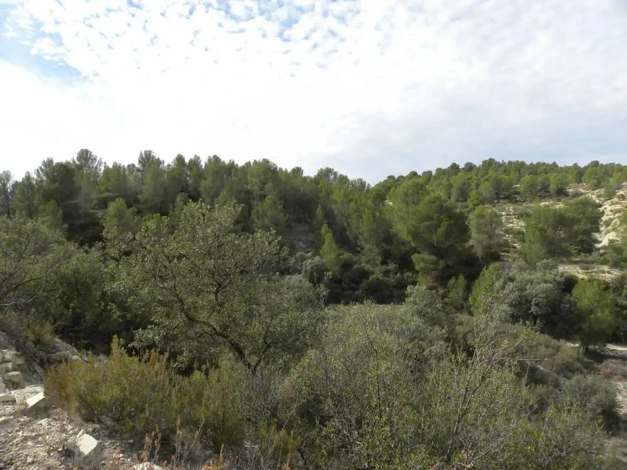 Terreno residencial en venta en Caravaca de la Cruz, imagen 17