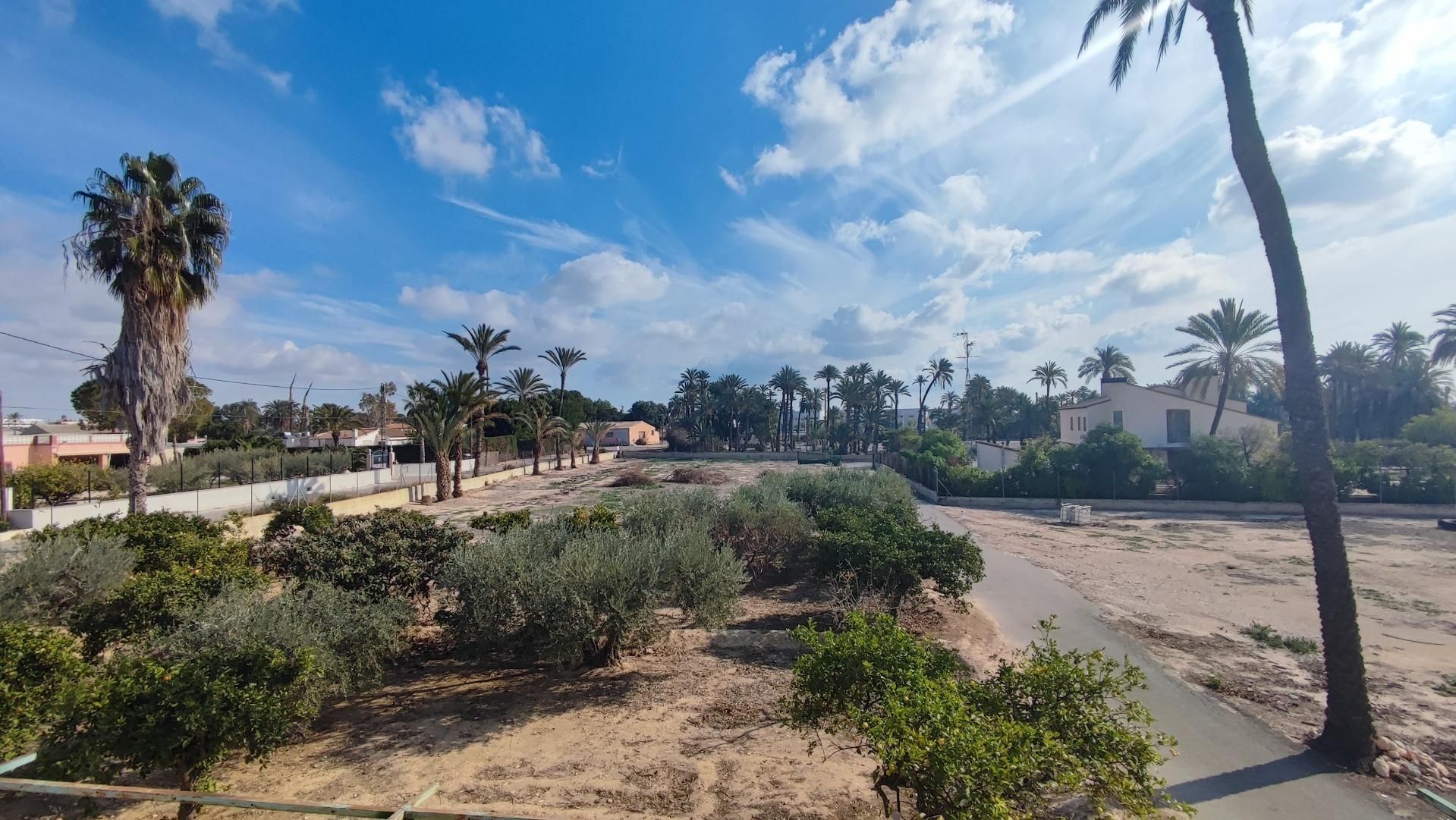 Vista exterior de Finca rústica en venda en Elche / Elx amb Aire condicionat, Terrassa i Traster