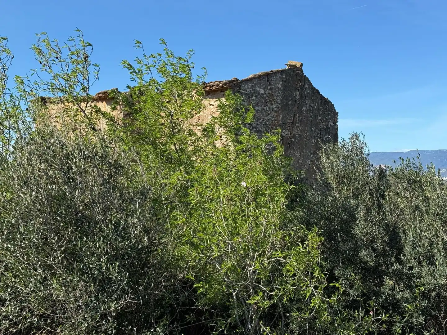 Finca rústica en venda a Puigpelat