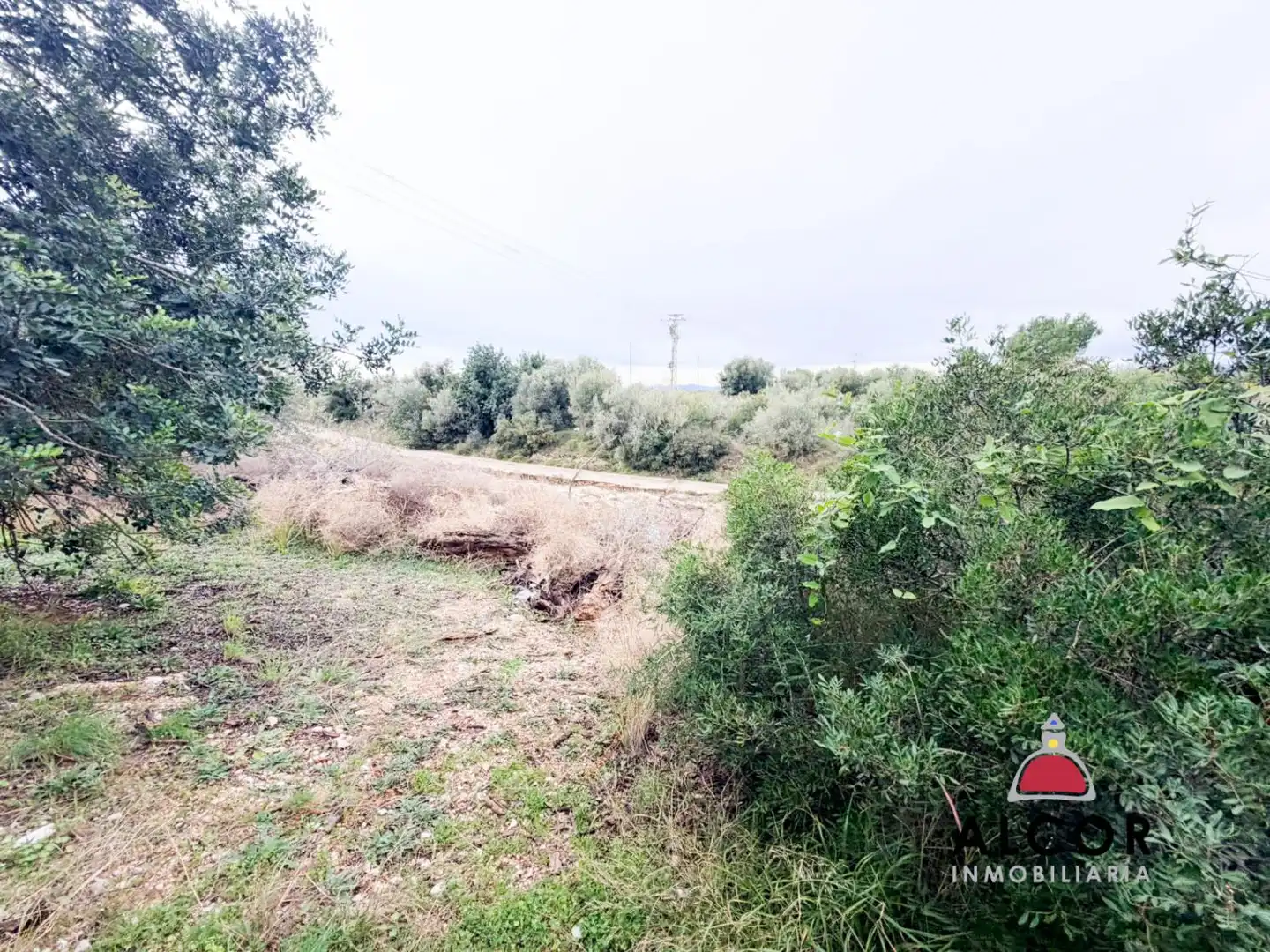 Country house for sale in Alcanar, imagen 10
