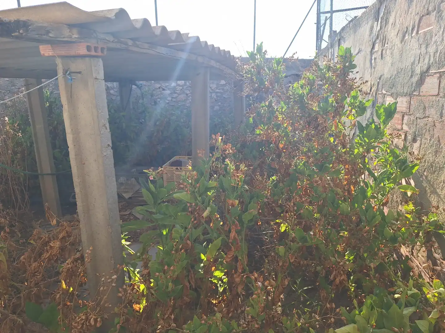 Country homes for sale in San Vicente del Raspeig / Sant Vicent del Raspeig  with Air Conditioner, Private garden and Terrace