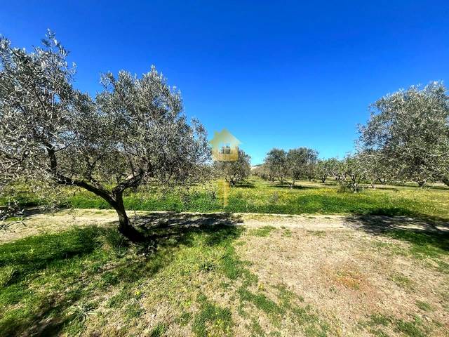 Terreno residencial en Venta en espolla en Espolla