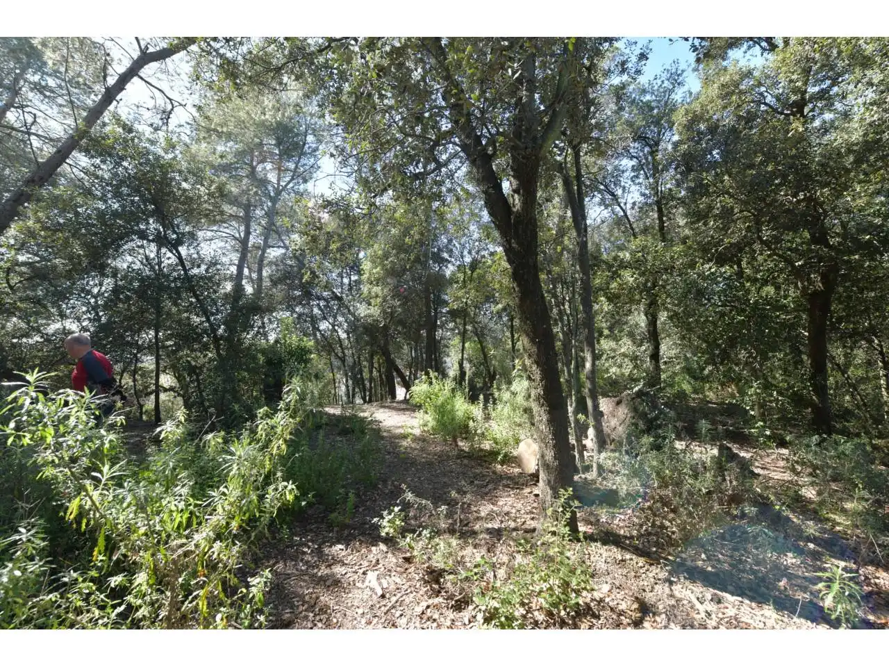 Wohnbaugrundstück zum Verkauf in El Racó - Sant Feliu del Racó, imagen 17